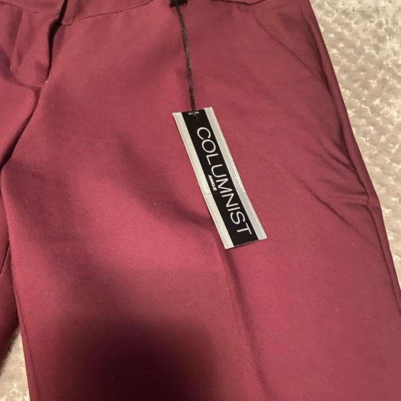 Express Columnist Ankle pant size 6R - Picture 4 of 4